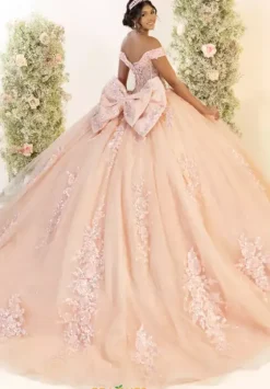 Plus Sized Quince Dresses^LizLuo Quinceanera 56556