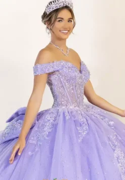 Plus Sized Quince Dresses^LizLuo Quinceanera 56556