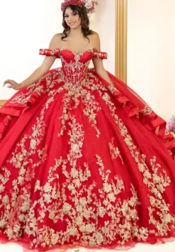 Plus Sized Quince Dresses^LizLuo Quinceanera 80064