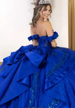 Plus Sized Quince Dresses^LizLuo Quinceanera 80064