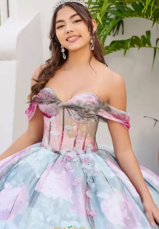 Plus Sized Quince Dresses|Sweet Sixteen^LizLuo Quinceanera 56520