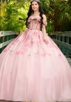 Plus Sized Quince Dresses|Sweet Sixteen^LizLuo Quinceanera 56520