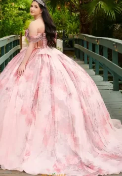 Plus Sized Quince Dresses|Sweet Sixteen^LizLuo Quinceanera 56520