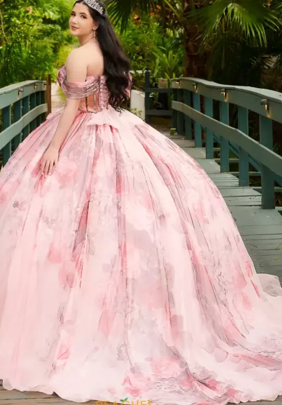 Plus Sized Quince Dresses|Sweet Sixteen^LizLuo Quinceanera 56520