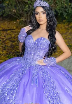 Plus Sized Quince Dresses|Sweet Sixteen^LizLuo Quinceanera 26096