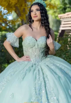 Plus Sized Quince Dresses|Sweet Sixteen^LizLuo Quinceanera 26096