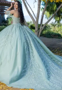 Plus Sized Quince Dresses|Sweet Sixteen^LizLuo Quinceanera 26096