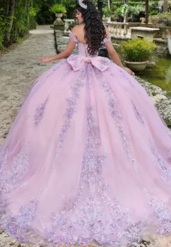 Sweet Sixteen|Plus Sized Quince Dresses^LizLuo Quinceanera 26105