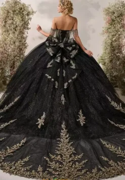 Plus Sized Quince Dresses^LizLuo Quinceanera 26117