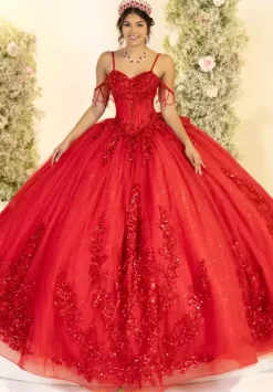 Plus Sized Quince Dresses^LizLuo Quinceanera 56563