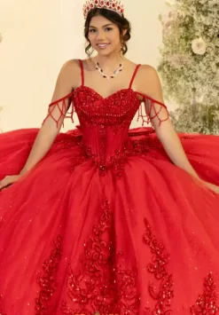 Plus Sized Quince Dresses^LizLuo Quinceanera 56563