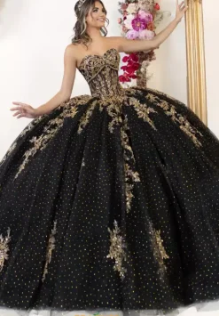Plus Sized Quince Dresses^LizLuo Quinceanera 80065