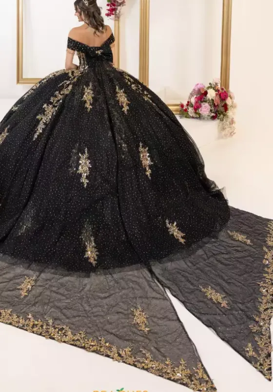 Plus Sized Quince Dresses^LizLuo Quinceanera 80065