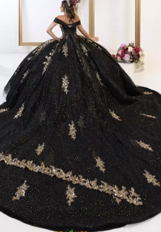 Plus Sized Quince Dresses^LizLuo Quinceanera 80065