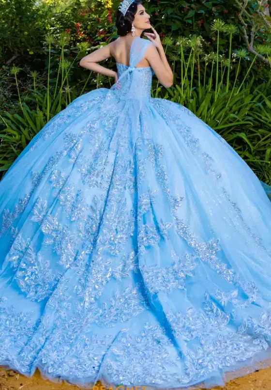 Plus Sized Quince Dresses|Sweet Sixteen^LizLuo Quinceanera 26089