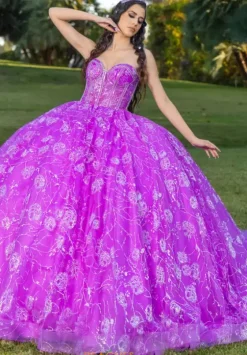 Plus Sized Quince Dresses|Sweet Sixteen^LizLuo Quinceanera 26098