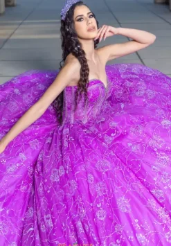 Plus Sized Quince Dresses|Sweet Sixteen^LizLuo Quinceanera 26098