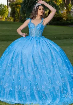 Plus Sized Quince Dresses|Sweet Sixteen^LizLuo Quinceanera 26098