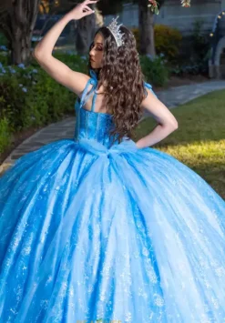 Plus Sized Quince Dresses|Sweet Sixteen^LizLuo Quinceanera 26098
