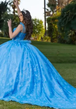 Plus Sized Quince Dresses|Sweet Sixteen^LizLuo Quinceanera 26098