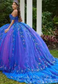 Sweet Sixteen|Plus Sized Quince Dresses^LizLuo Quinceanera 56524
