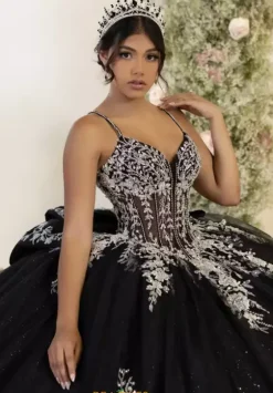 Sweet Sixteen|Plus Sized Quince Dresses^LizLuo Quinceanera 56559