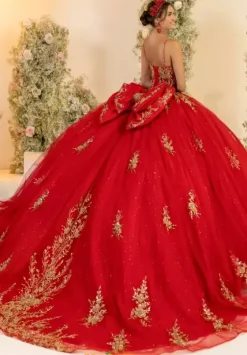 Sweet Sixteen|Plus Sized Quince Dresses^LizLuo Quinceanera 56559