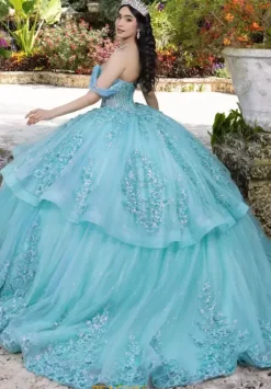 Plus Sized Quince Dresses|Sweet Sixteen^LizLuo Quinceanera 26107