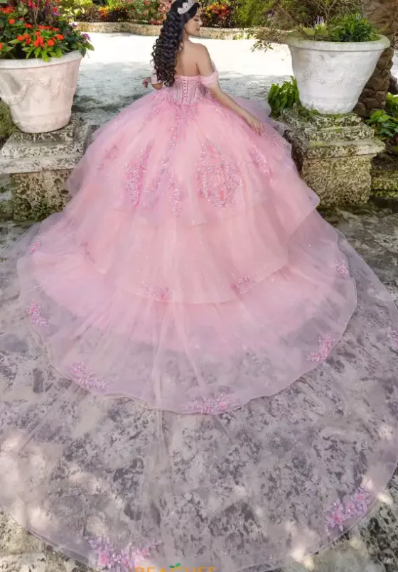 Plus Sized Quince Dresses|Sweet Sixteen^LizLuo Quinceanera 26107