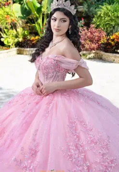 Plus Sized Quince Dresses|Sweet Sixteen^LizLuo Quinceanera 26107