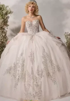 Plus Sized Quince Dresses^LizLuo Quinceanera 26116