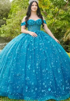 Plus Sized Quince Dresses|Sweet Sixteen^LizLuo Quinceanera 56512