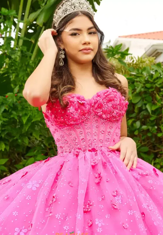 Plus Sized Quince Dresses|Sweet Sixteen^LizLuo Quinceanera 56512
