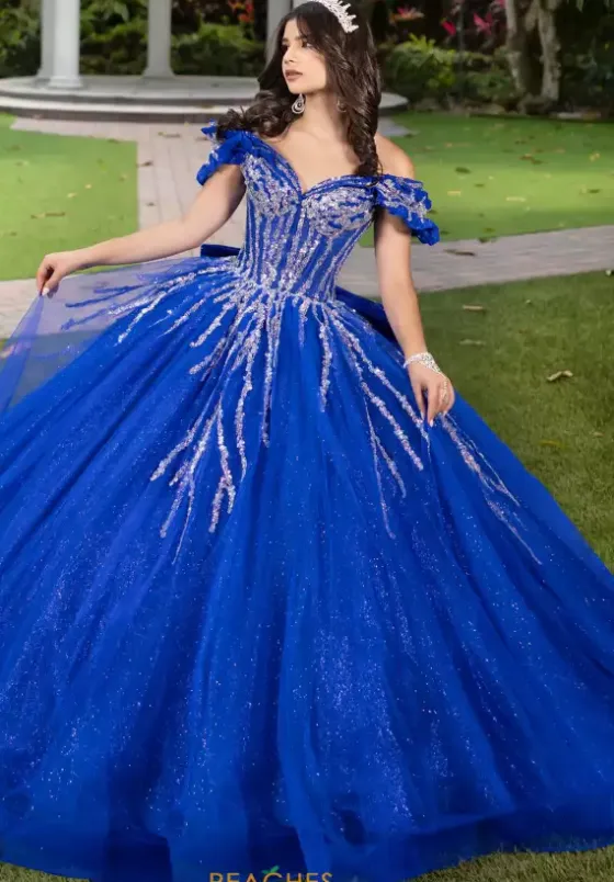 Plus Sized Quince Dresses|Sweet Sixteen^LizLuo Quinceanera 56535