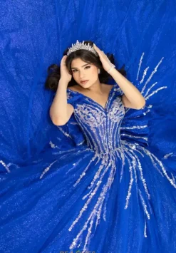 Plus Sized Quince Dresses|Sweet Sixteen^LizLuo Quinceanera 56535