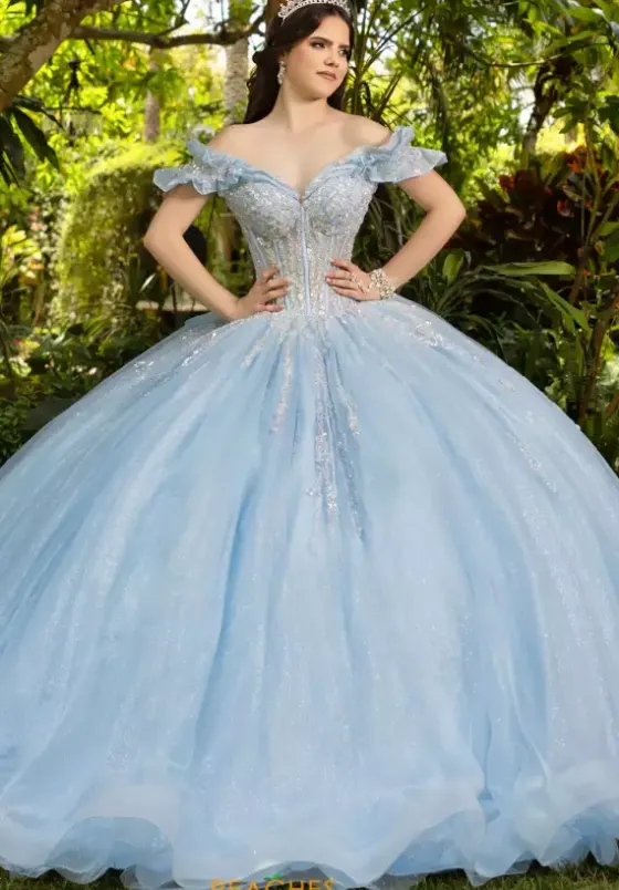 Plus Sized Quince Dresses|Sweet Sixteen^LizLuo Quinceanera 56535