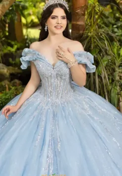 Plus Sized Quince Dresses|Sweet Sixteen^LizLuo Quinceanera 56535