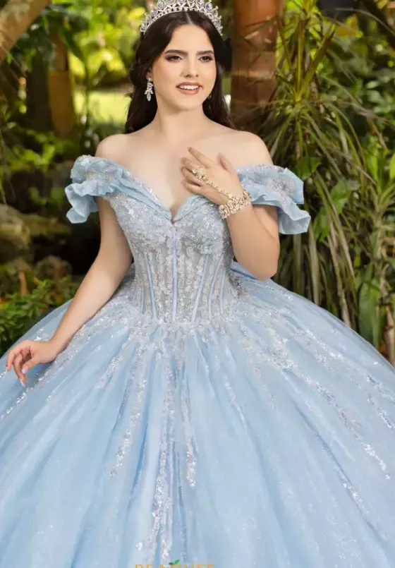 Plus Sized Quince Dresses|Sweet Sixteen^LizLuo Quinceanera 56535