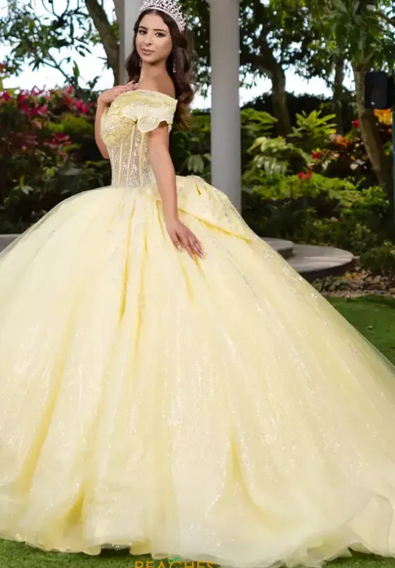 Plus Sized Quince Dresses|Sweet Sixteen^LizLuo Quinceanera 56535