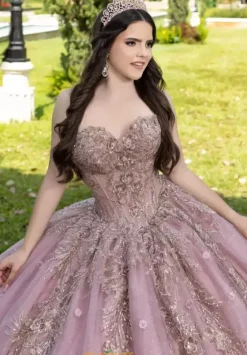 Sweet Sixteen|Plus Sized Quince Dresses^LizLuo Quinceanera 56532
