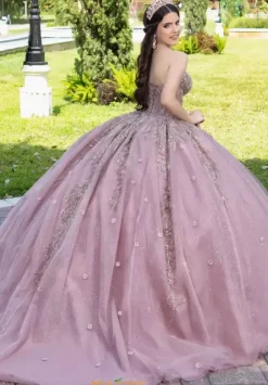 Sweet Sixteen|Plus Sized Quince Dresses^LizLuo Quinceanera 56532