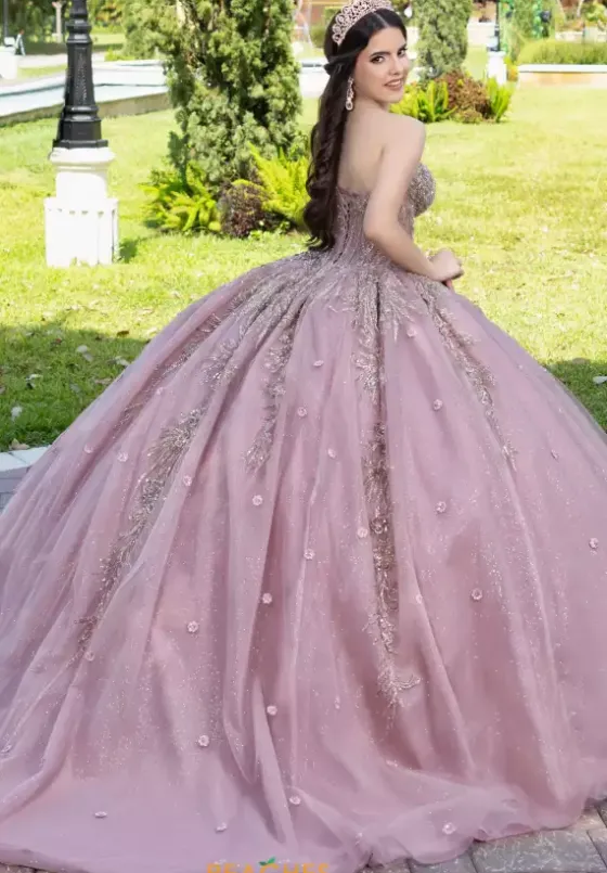 Sweet Sixteen|Plus Sized Quince Dresses^LizLuo Quinceanera 56532