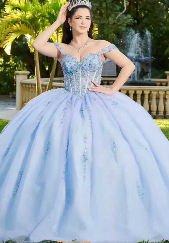 Plus Sized Quince Dresses|Sweet Sixteen^LizLuo Quinceanera 56509