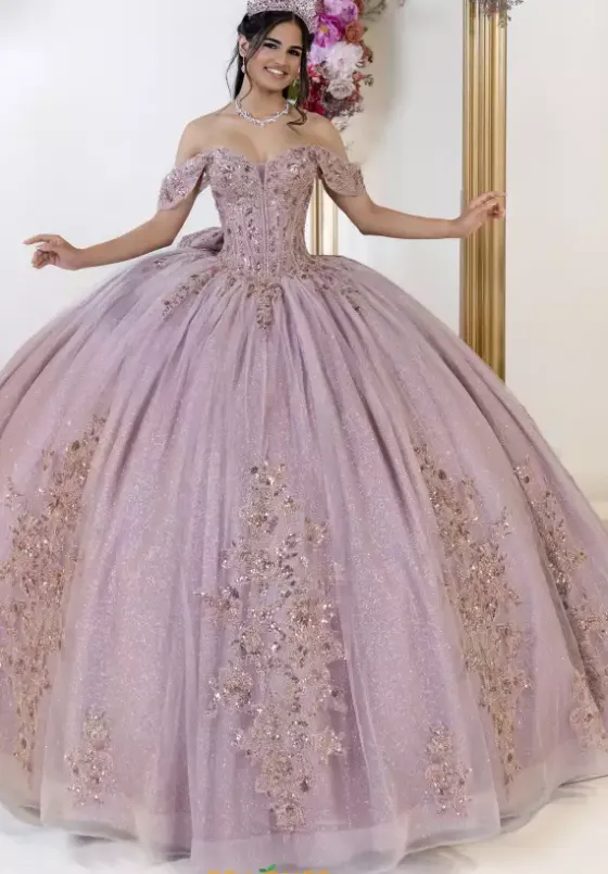 Plus Sized Quince Dresses^LizLuo Quinceanera 80062