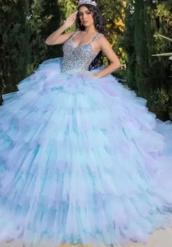 Plus Sized Quince Dresses|Sweet Sixteen^LizLuo Quinceanera 26095