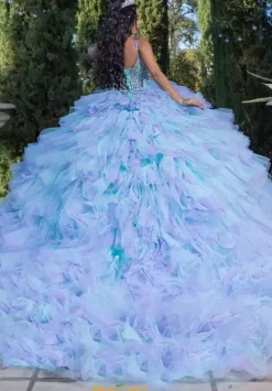 Plus Sized Quince Dresses|Sweet Sixteen^LizLuo Quinceanera 26095