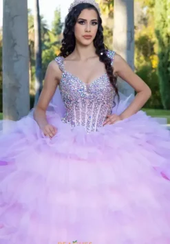 Plus Sized Quince Dresses|Sweet Sixteen^LizLuo Quinceanera 26095