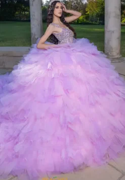 Plus Sized Quince Dresses|Sweet Sixteen^LizLuo Quinceanera 26095