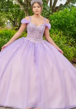 Plus Sized Quince Dresses|Sweet Sixteen^LizLuo Quinceanera 56517