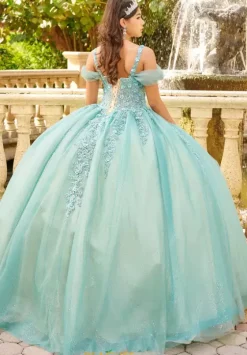 Plus Sized Quince Dresses|Sweet Sixteen^LizLuo Quinceanera 56517